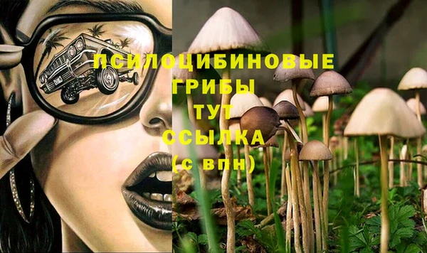 кокс Алексин