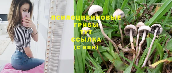 кокс Алексин